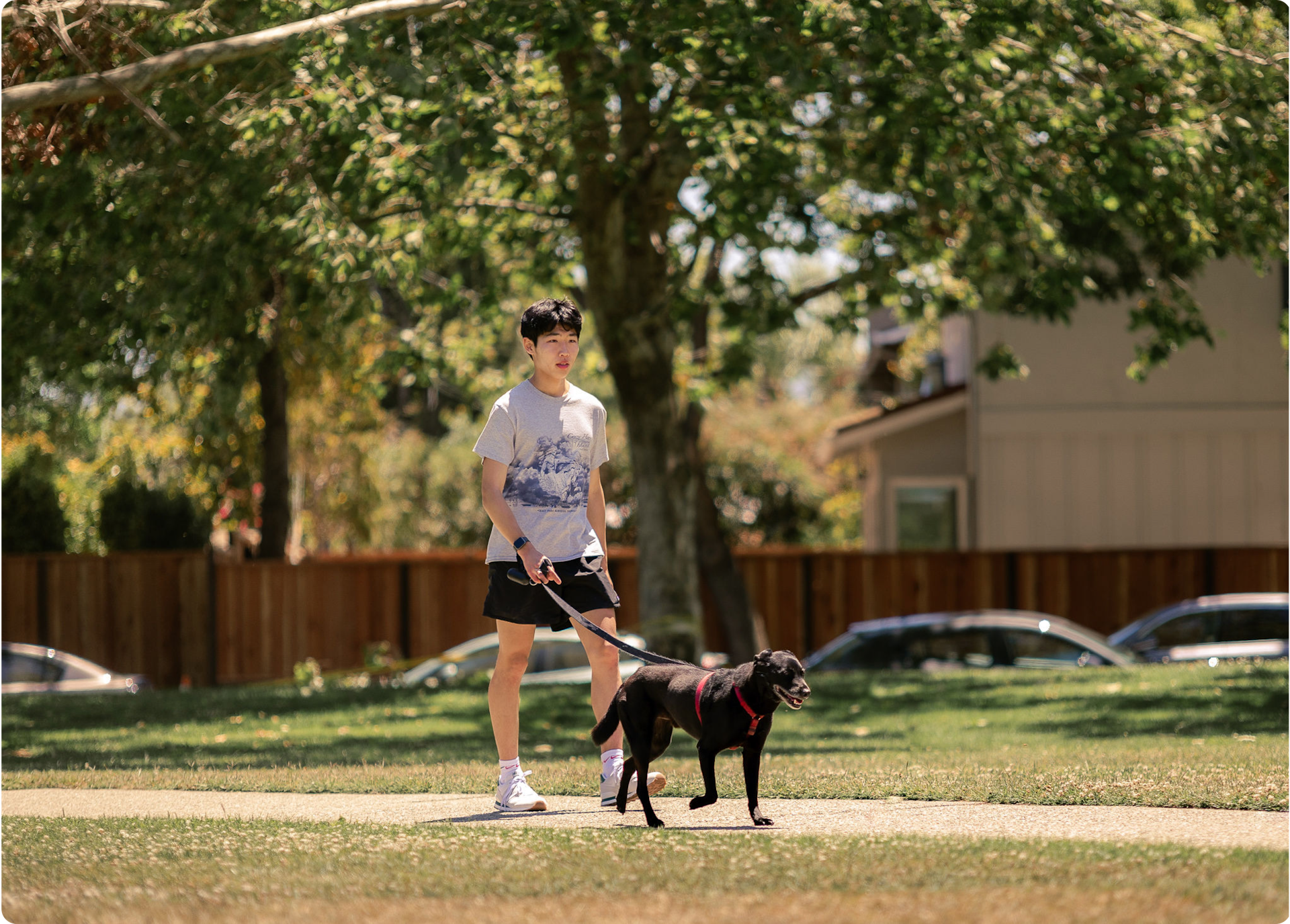 A man walking his dog in the park